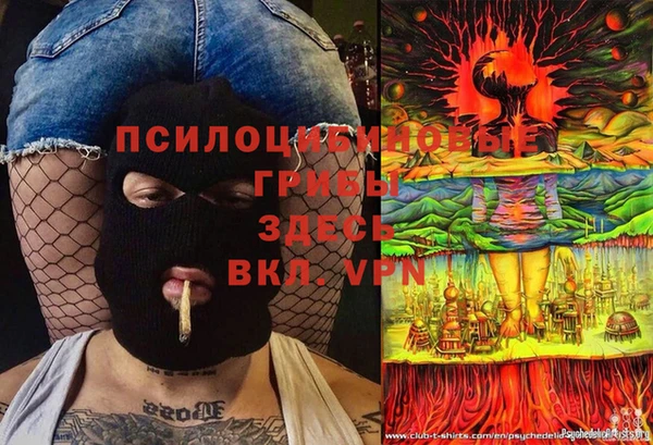 не бодяженный Осинники