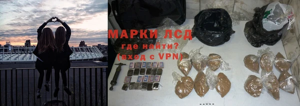 индика Арсеньев