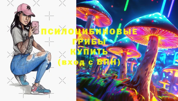 2c-b Алзамай